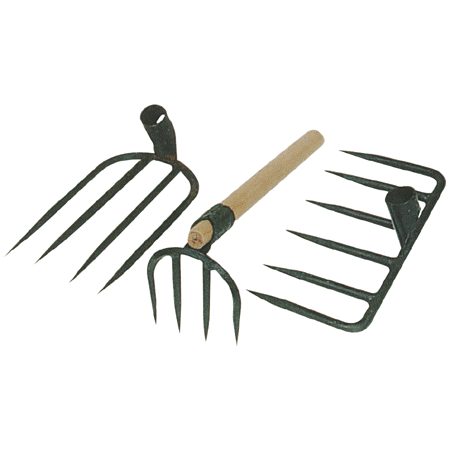 六齒爬大(無附柄)