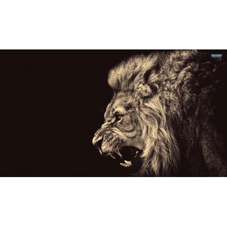 台製 10支組起子